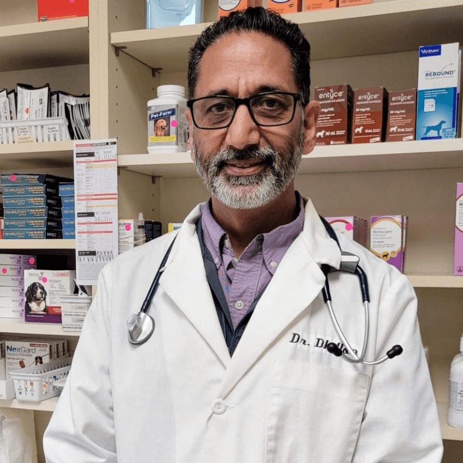 Dr. Dhillon