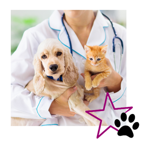 Veterinarian Hiring